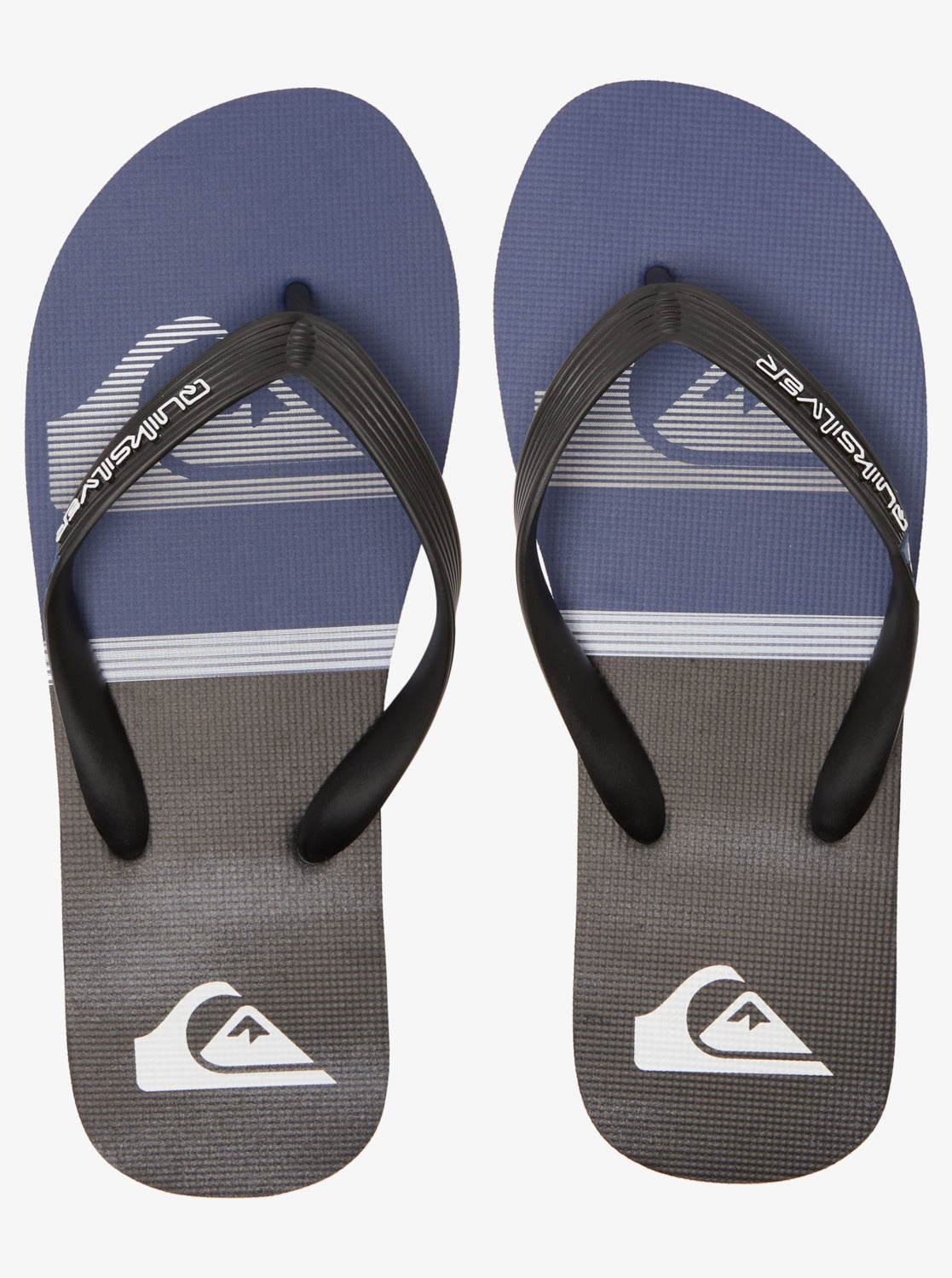 Quiksilver Molokai Swell Vision - Star Surf + Skate