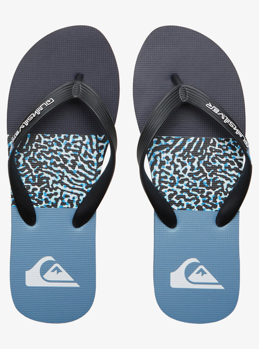 Quiksilver Molokai Stripe - Blue 1 - Star Surf + Skate